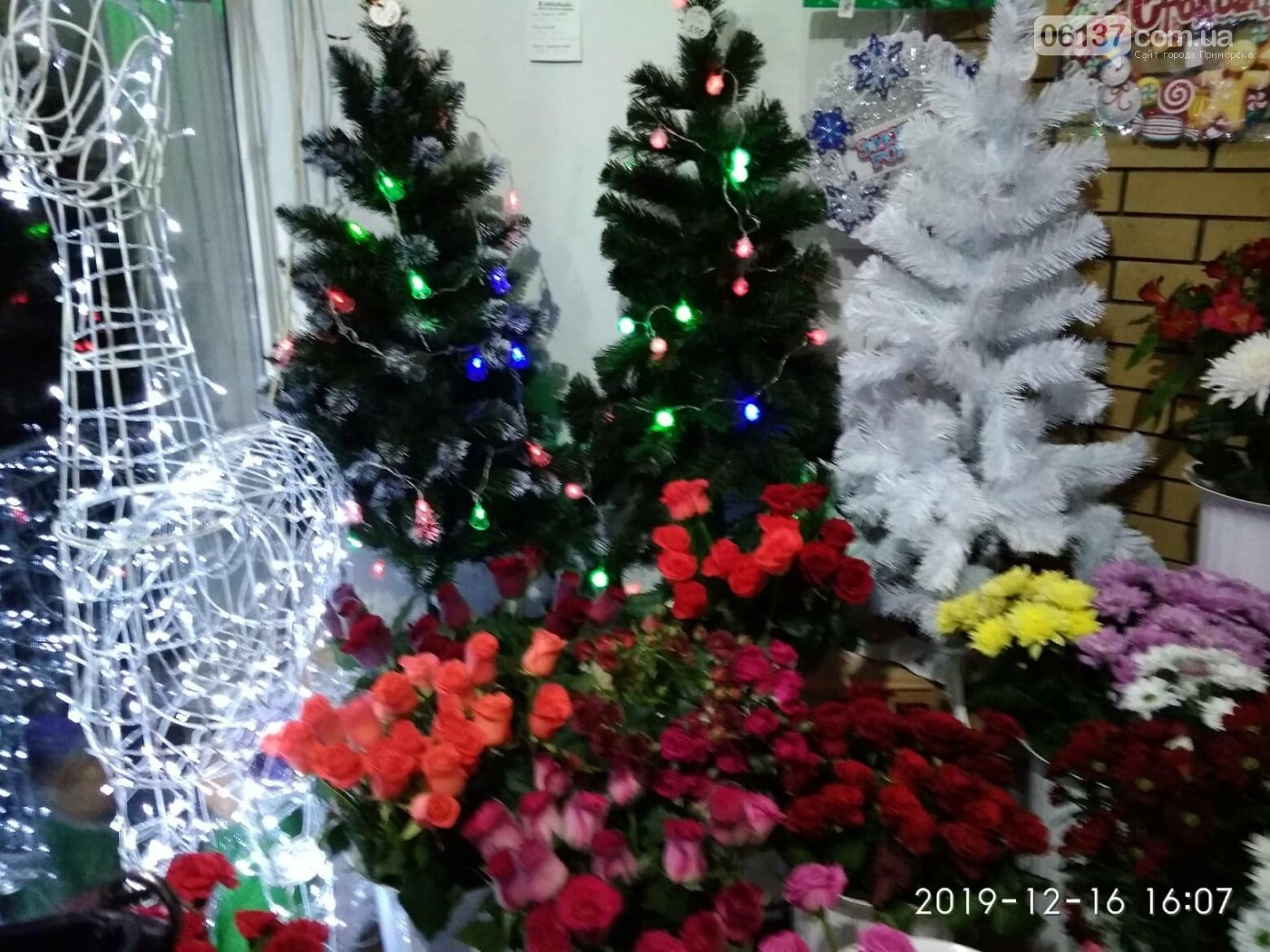 Красивые витрины магазинов и салонов Приморска, фото-3 Красивые витрины магазинов и салонов Приморска, фото-3