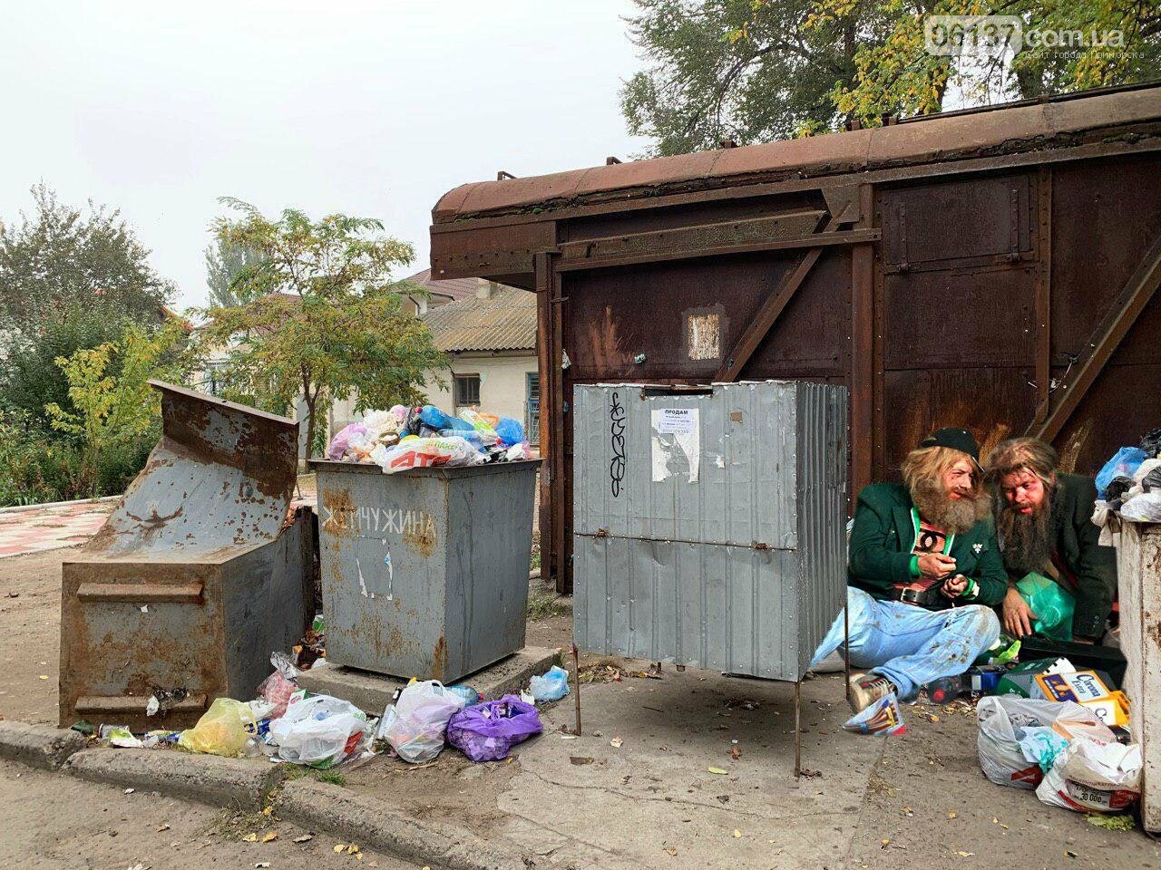 Бердянск в опасности! Обнаружены новые формы жизни! (фото), фото-6 Бердянск в опасности! Обнаружены новые формы жизни! (фото), фото-6
