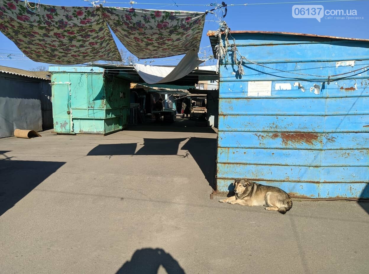 Карантин в Приморську. День сьомий, фото-5 Карантин в Приморську. День сьомий, фото-5