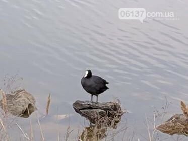 Чи буде цей сезон в Приморську туристичним , фото-3 Чи буде цей сезон в Приморську туристичним , фото-3