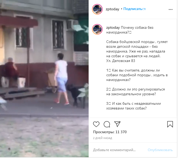 Запорожцев пугает бойцовская собака, гуляющая без намордник..., фото-1 Запорожцев пугает бойцовская собака, гуляющая без намордника возле детской площадки. Видео , фото-1