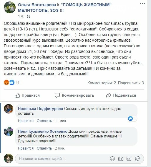 В Запорожской области подростки охотятся на бездомных животных, фото-1 В Запорожской области подростки охотятся на бездомных животных, фото-1