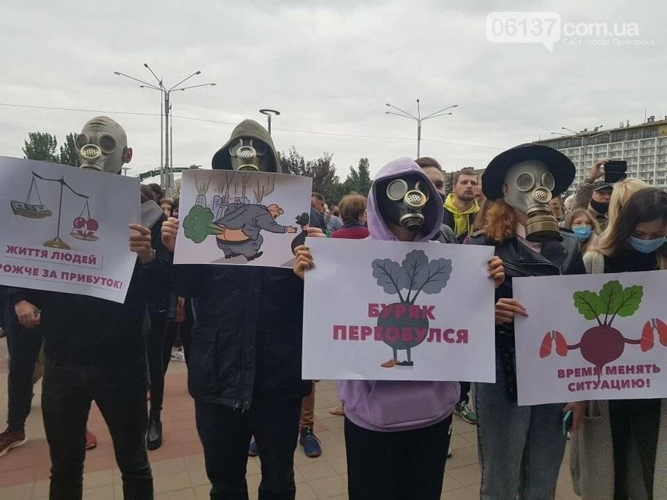 Запорожцы выдвинули действующей власти экологические требов..., фото-2 Запорожцы выдвинули действующей власти экологические требования. Фото , фото-2