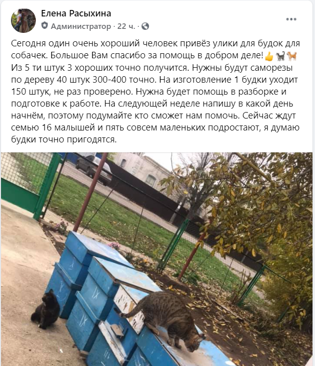 В Приморске Запорожской области волонтеры переоборудуют ста..., фото-1 В Приморске Запорожской области волонтеры переоборудуют старые улики под домики для бродячих собак, фото-1