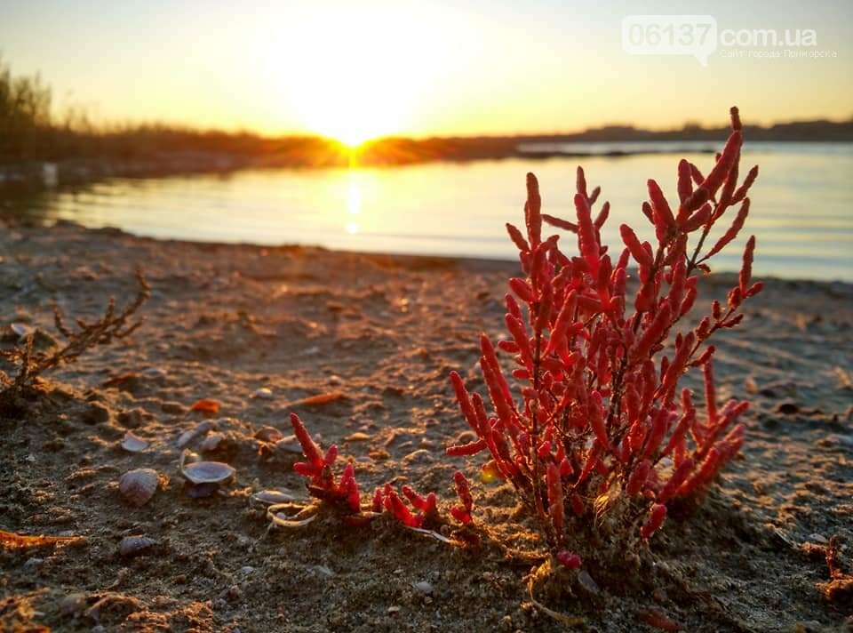 Красота ноябрьского моря в Запорожской области от заката до..., фото-6 Красота ноябрьского моря в Запорожской области от заката до рассвета. Приморск. Обиточная коса , фото-6