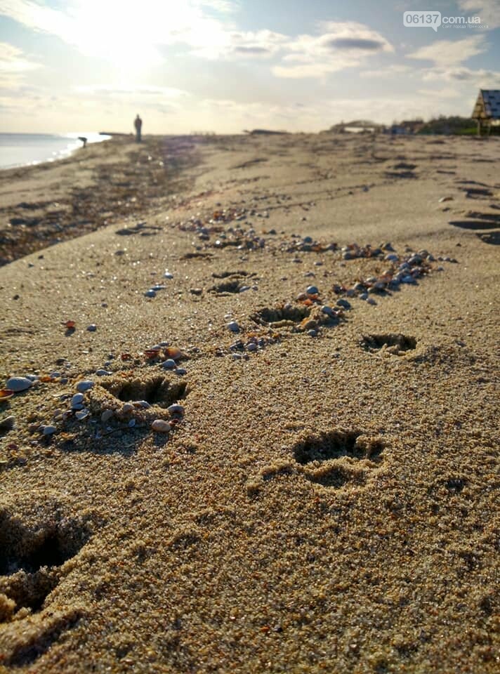 Красота ноябрьского моря в Запорожской области от заката д..., фото-15 Красота ноябрьского моря в Запорожской области от заката до рассвета. Приморск. Обиточная коса , фото-15