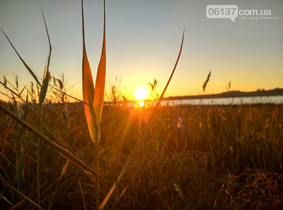 Красота ноябрьского моря в Запорожской области от заката д..., фото-22 Красота ноябрьского моря в Запорожской области от заката до рассвета. Приморск. Обиточная коса , фото-22