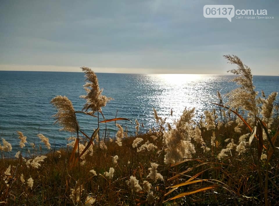 Красота ноябрьского моря в Запорожской области от заката д..., фото-29 Красота ноябрьского моря в Запорожской области от заката до рассвета. Приморск. Обиточная коса , фото-29