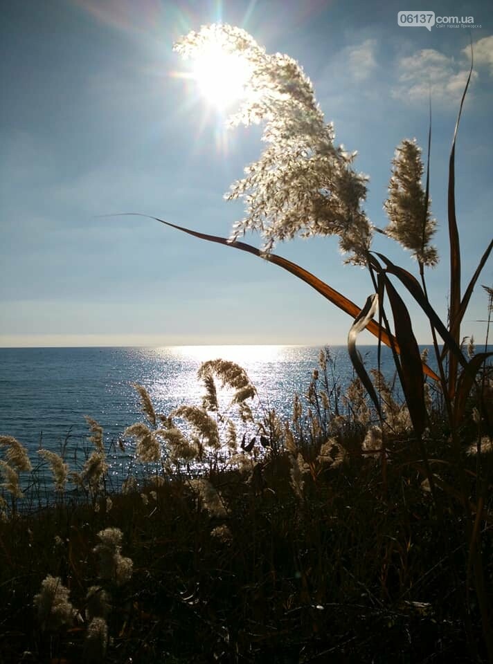 Красота ноябрьского моря в Запорожской области от заката д..., фото-34 Красота ноябрьского моря в Запорожской области от заката до рассвета. Приморск. Обиточная коса , фото-34