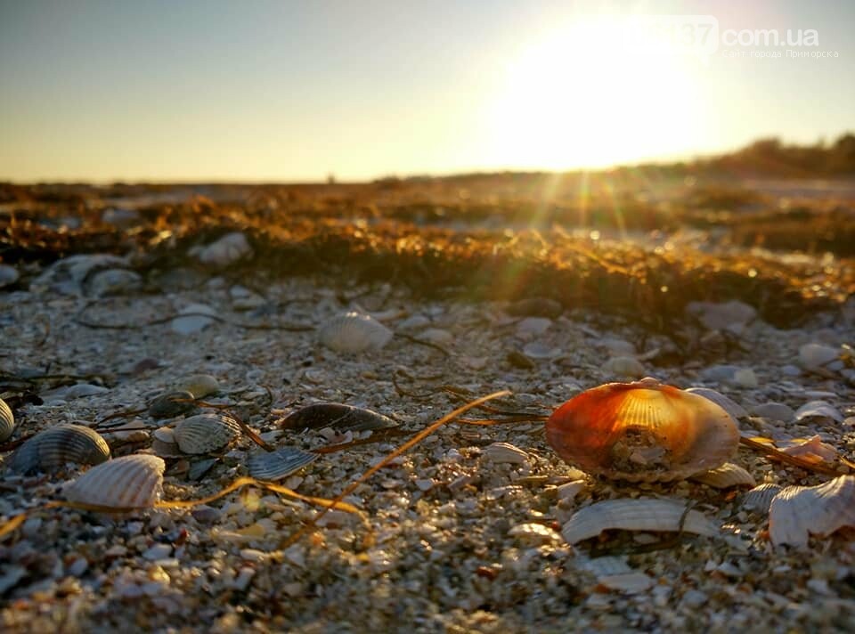 Красота ноябрьского моря в Запорожской области от заката д..., фото-35 Красота ноябрьского моря в Запорожской области от заката до рассвета. Приморск. Обиточная коса , фото-35