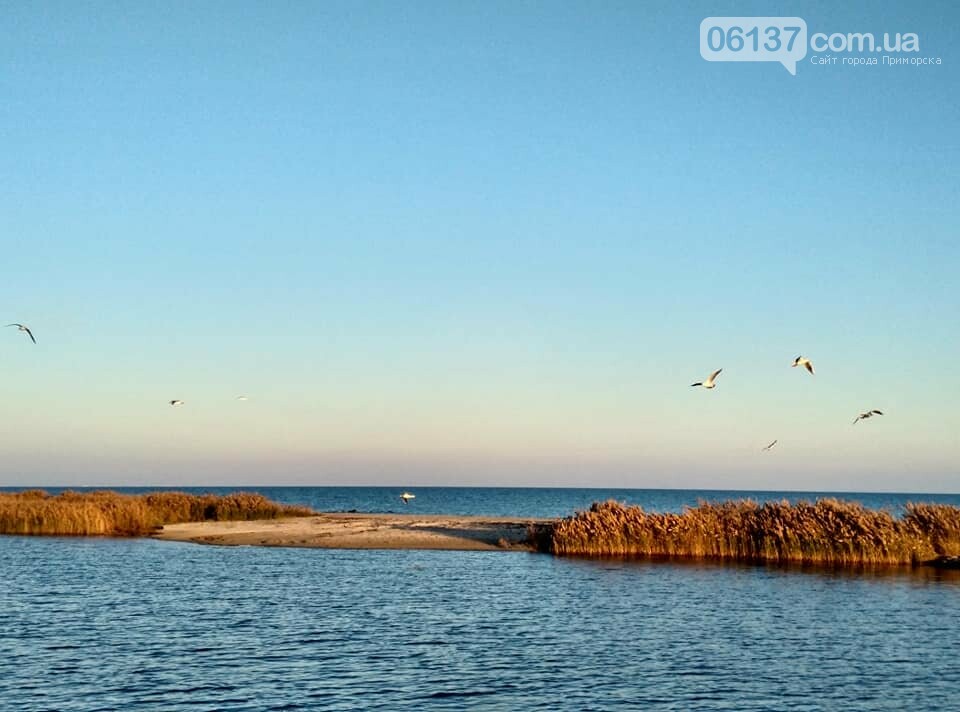 Красота ноябрьского моря в Запорожской области от заката д..., фото-36 Красота ноябрьского моря в Запорожской области от заката до рассвета. Приморск. Обиточная коса , фото-36