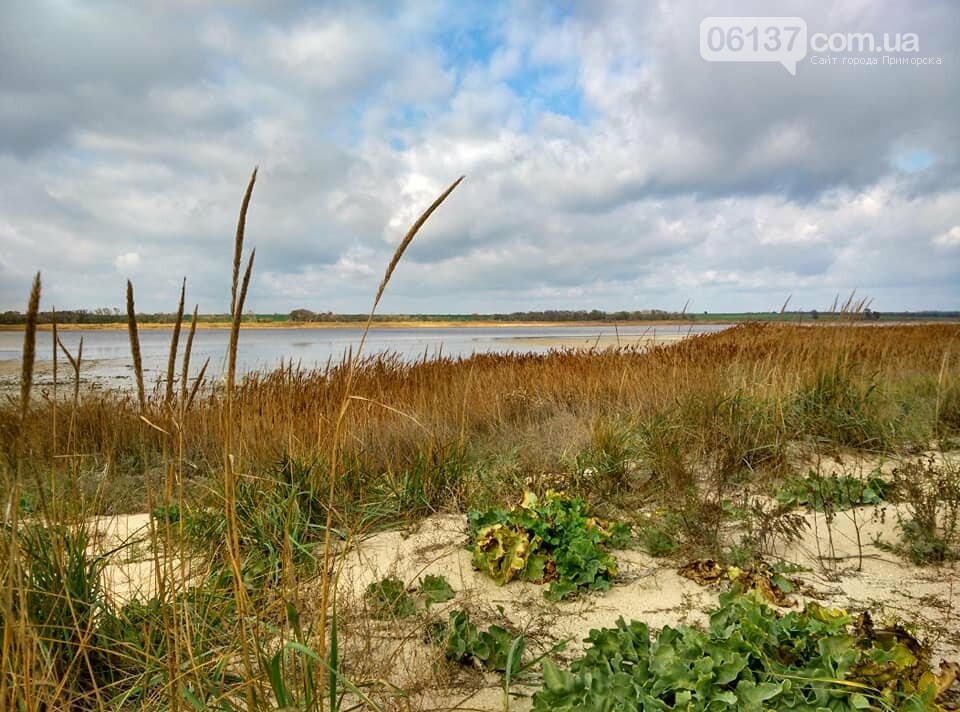 Красота ноябрьского моря в Запорожской области от заката д..., фото-38 Красота ноябрьского моря в Запорожской области от заката до рассвета. Приморск. Обиточная коса , фото-38