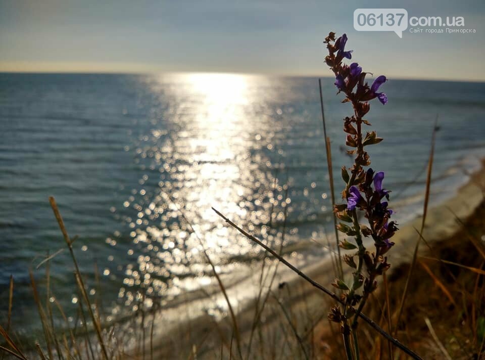 Красота ноябрьского моря в Запорожской области от заката д..., фото-41 Красота ноябрьского моря в Запорожской области от заката до рассвета. Приморск. Обиточная коса , фото-41