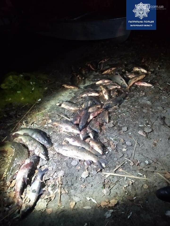 В Запорожской области общественники задержали браконьеров...., фото-1 В Запорожской области общественники задержали браконьеров. Видео, фото-1