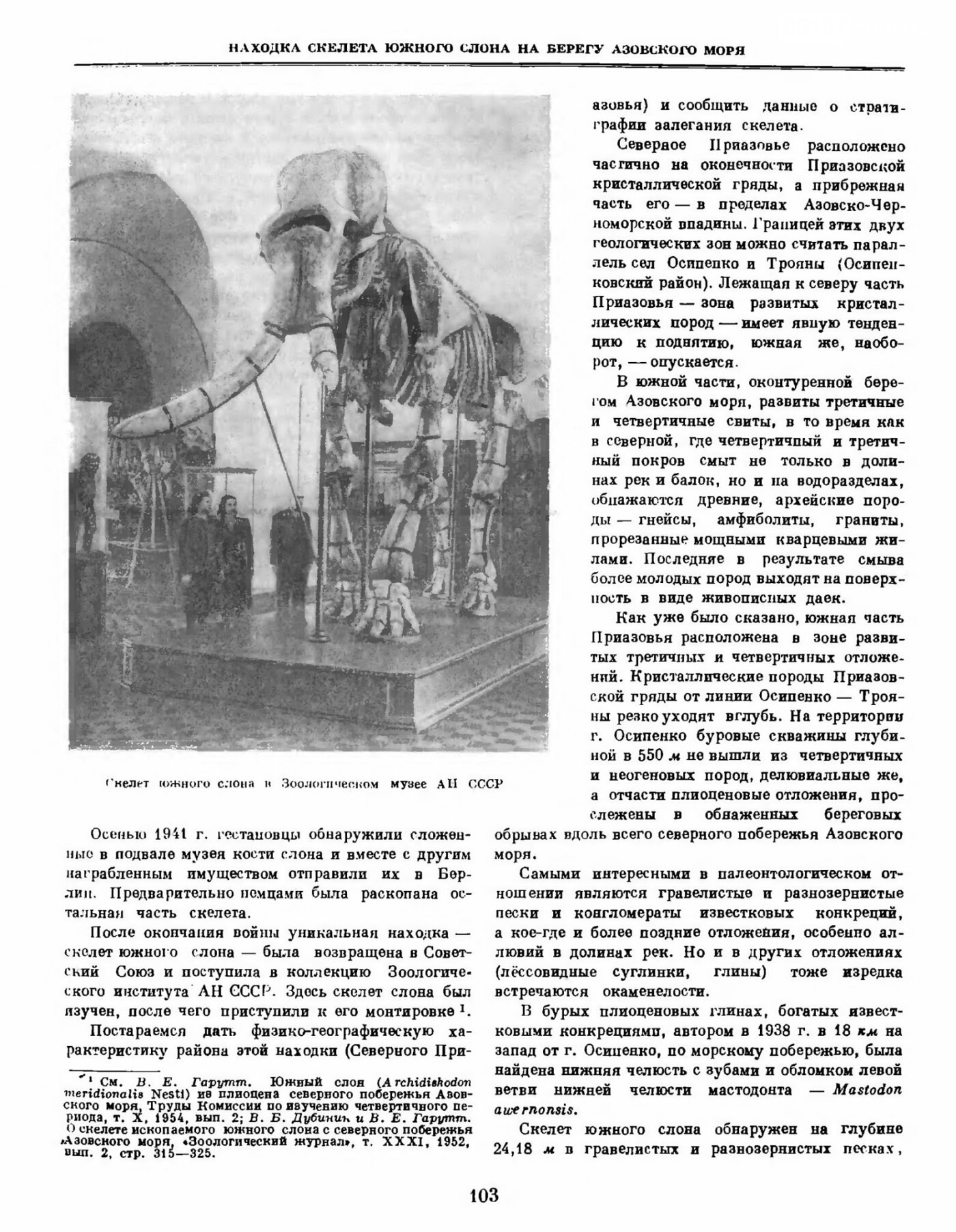 Приморцы гордятся уникальной находкой Южного слона, фото-2 Приморцы гордятся уникальной находкой Южного слона, фото-2