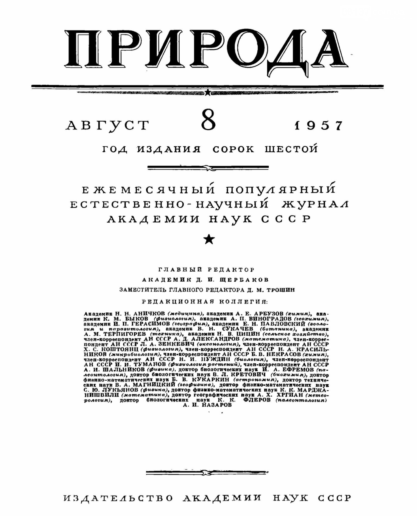 Приморцы гордятся уникальной находкой Южного слона, фото-1 Приморцы гордятся уникальной находкой Южного слона, фото-1