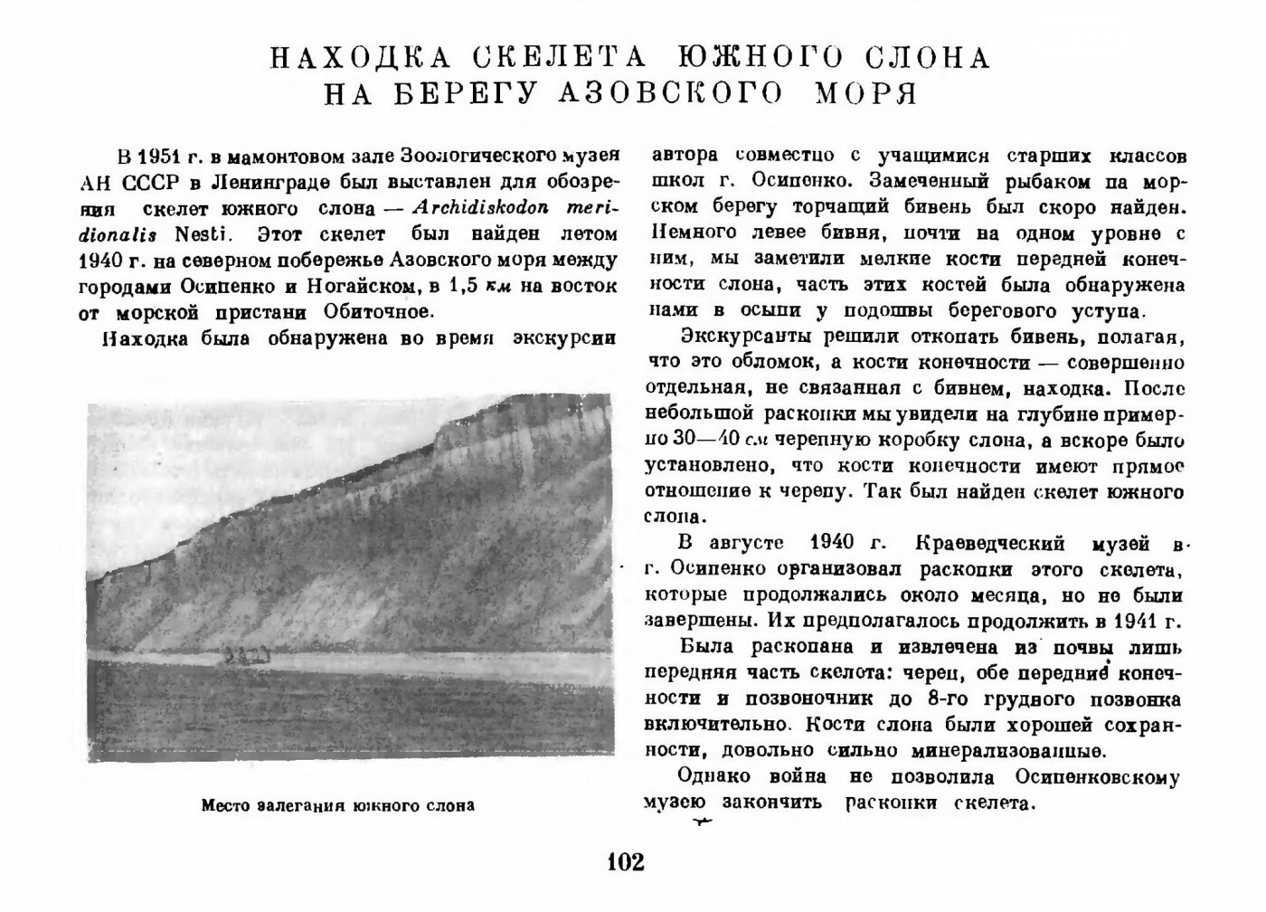 Приморцы гордятся уникальной находкой Южного слона, фото-3 Приморцы гордятся уникальной находкой Южного слона, фото-3