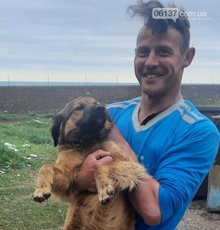 В Приморской громаде команда "Хвостате місто" проводят сте..., фото-1 В Приморской громаде команда "Хвостате місто" проводят стерилизацию бездомных животных, фото-1