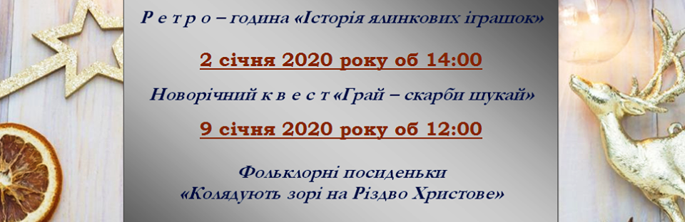 В новогодние праздники Приморская городская библиотека будет работа... В новогодние праздники Приморская городская библиотека будет работать, Наталья Лякишева