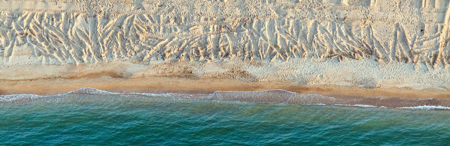 В море Запорожской области нашли холерный вибрион В море Запорожской области нашли холерный вибрион